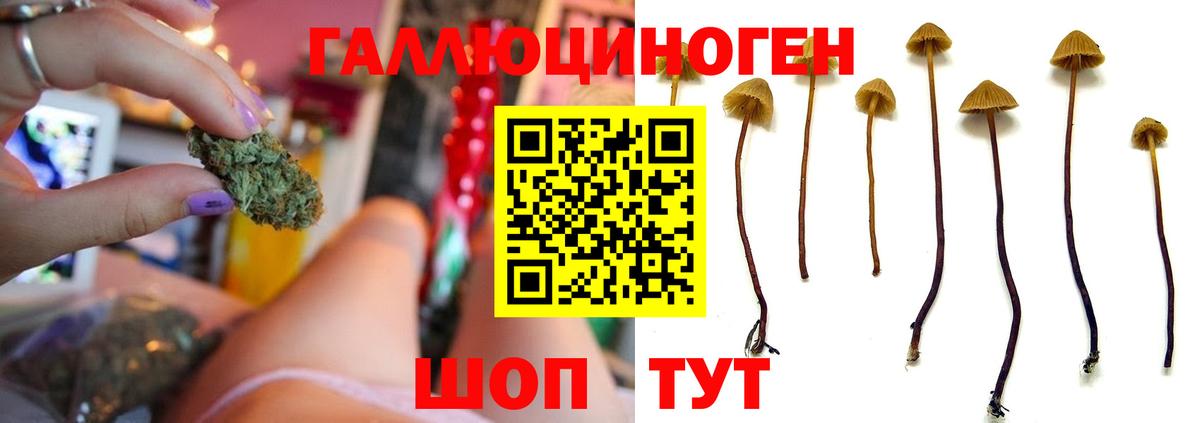 Вышний Волочёк  Псилоцибиновые грибы Magic Shrooms  Псилоцибиновые грибы GOLDEN TEACHER  Вход с VPN 